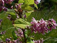 2010-07-04_09-27-12_0008