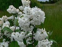 2010-06-26_09-03-42_0120
