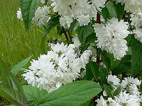 2010-06-26_09-04-03_0128