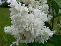 2010-06-26_09-04-19_0131
