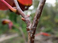 2008-10-10_11-22-06_0061