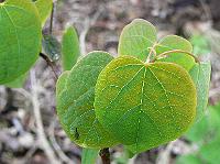 2009-05-16_19-09-42_0037