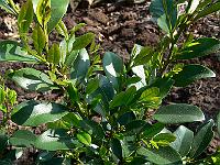 2011-04-20_14-22-58_0043