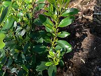 2011-04-20_14-23-16_0047