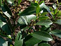 2011-04-20_14-24-17_0058