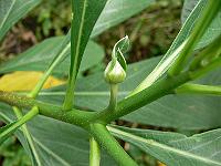 2011-09-12_09-22-55_0185