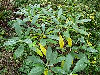 2011-10-31_15-03-44_0054