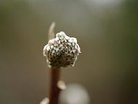 2012-03-15_10-53-16_0062