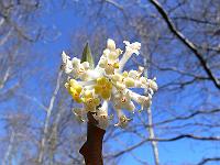 2010-04-16_10-50-41_0003