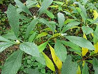 2011-10-31_15-03-24_0052