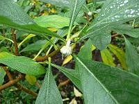 2011-10-31_15-03-58_0055