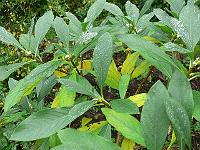 2011-10-31_15-04-31_0058