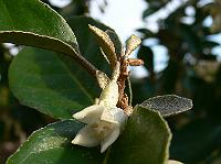 2008-10-10_08-23-23_0004