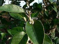 2008-10-10_08-23-48_0007