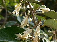 2008-10-10_08-26-03_0031