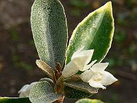 2008-10-10_08-26-32_0035