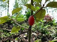 2009-05-26_10-52-21_0048