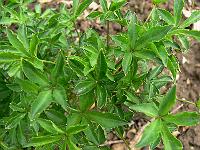 2009-05-07_08-46-05_0082