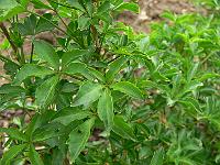 2009-05-07_08-46-42_0089