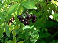 2010-09-16_08-52-56_0010