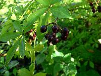 2010-09-16_08-53-11_0014