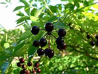 2010-09-16_08-53-25_0016