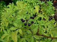 2010-09-20_15-21-30_0066