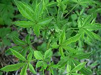 2011-06-10_19-11-44_0121