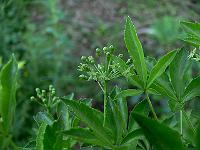 2011-06-10_19-12-26_0131