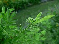 2011-06-10_19-13-31_0146