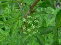 2011-06-14_17-39-49_0013