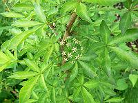 2011-06-19_08-05-26_0034
