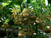 19-05-2007_11-00-31_23