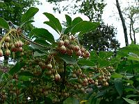 2011-05-13_10-22-24_0036