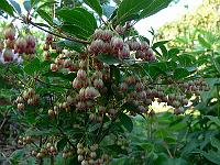 2011-05-19_17-36-55_0112