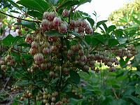 2011-05-19_17-37-06_0115
