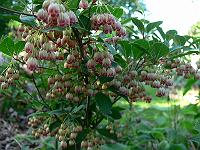 2011-05-19_17-37-15_0118