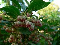 2011-05-19_17-37-30_0123