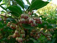 2011-05-19_17-37-38_0126
