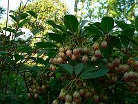 2011-05-19_17-37-57_0130