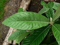 2010-08-20_16-57-57_0028