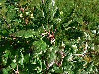 2010-09-13_07-52-35_0040