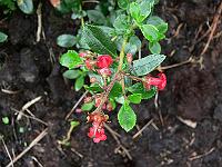 2011-07-15_09-50-21_0058