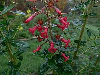 2011-11-02_10-16-48_0085