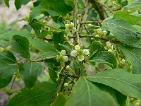 2008-05-21_07-13-54_0014