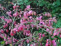 27-09-2007_10-14-03_18