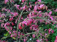 27-09-2007_10-14-05_19
