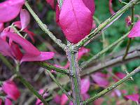 27-09-2007_10-14-28_28
