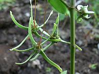 2011-06-12_16-41-40_0029
