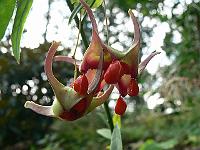 2011-08-17_10-58-36_0027